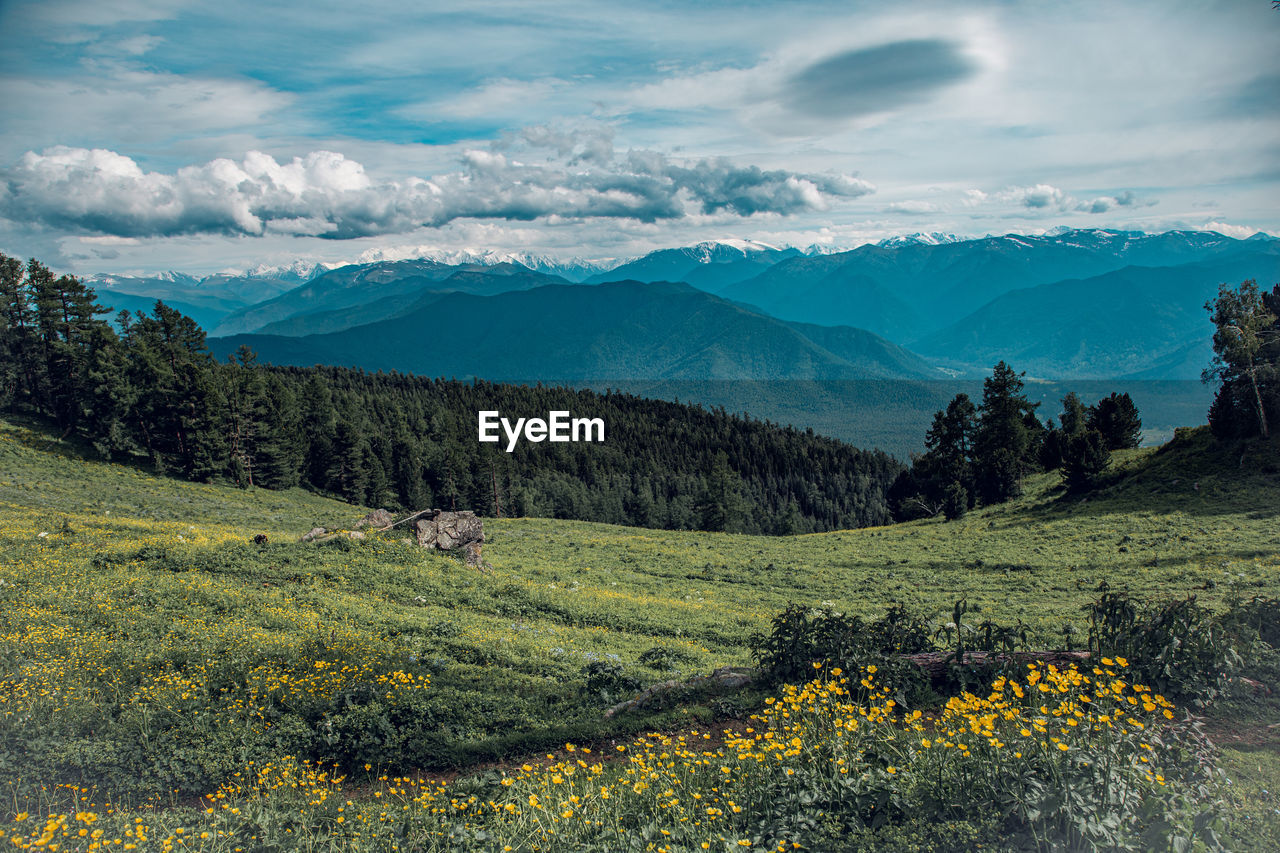 Scenic view of landscape and altai mountains against partly cloudy sky