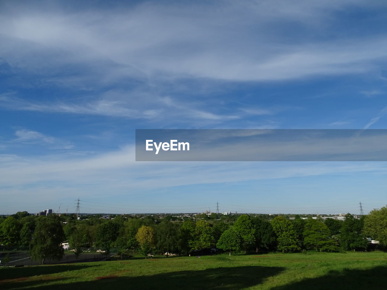 SCENIC VIEW OF TREES ON FIELD AGAINST SKY