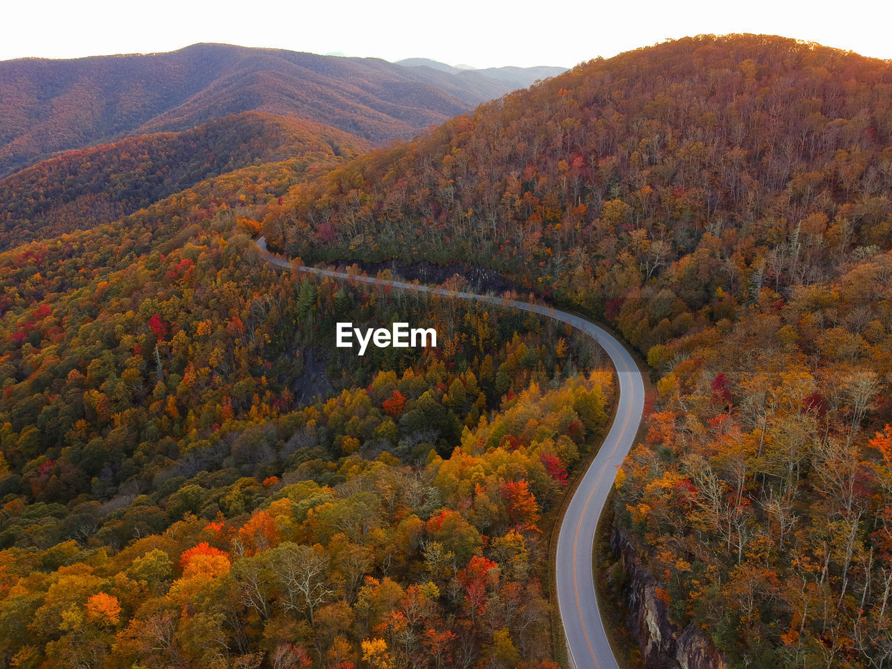 Aerial drone view of overhead colorful fall / autumn leaf foliage near asheville, north carolina.