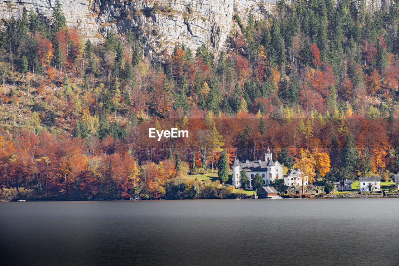 SCENIC VIEW OF AUTUMNAL TREES BY LAKE