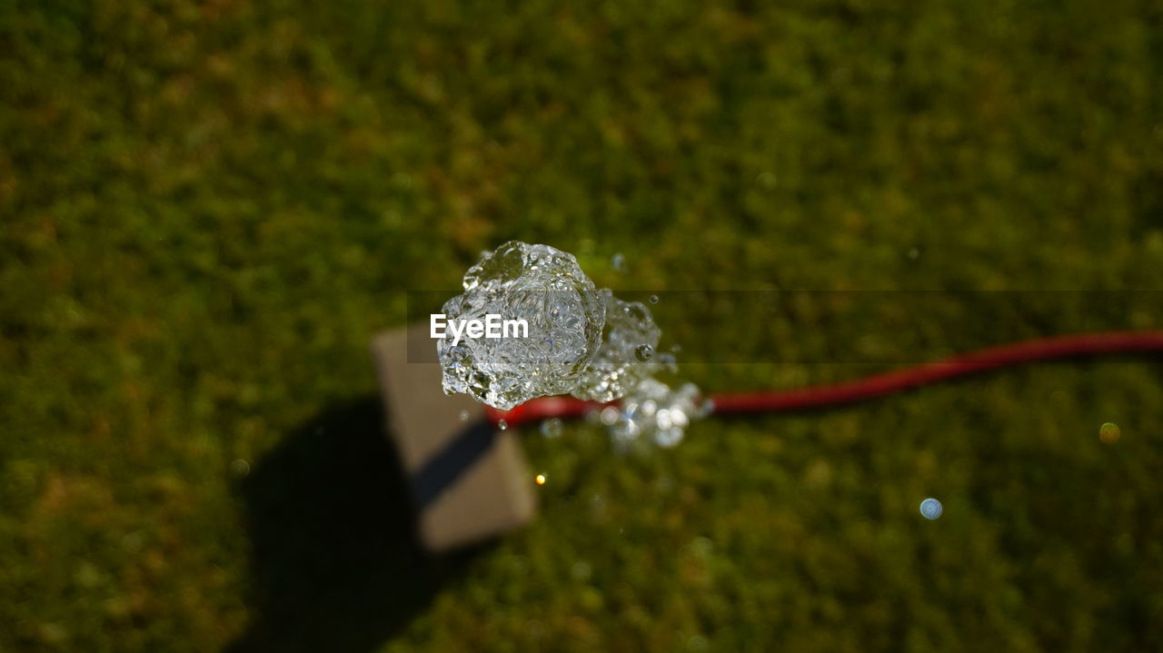 CLOSE-UP OF WATER DROPS ON PLANT