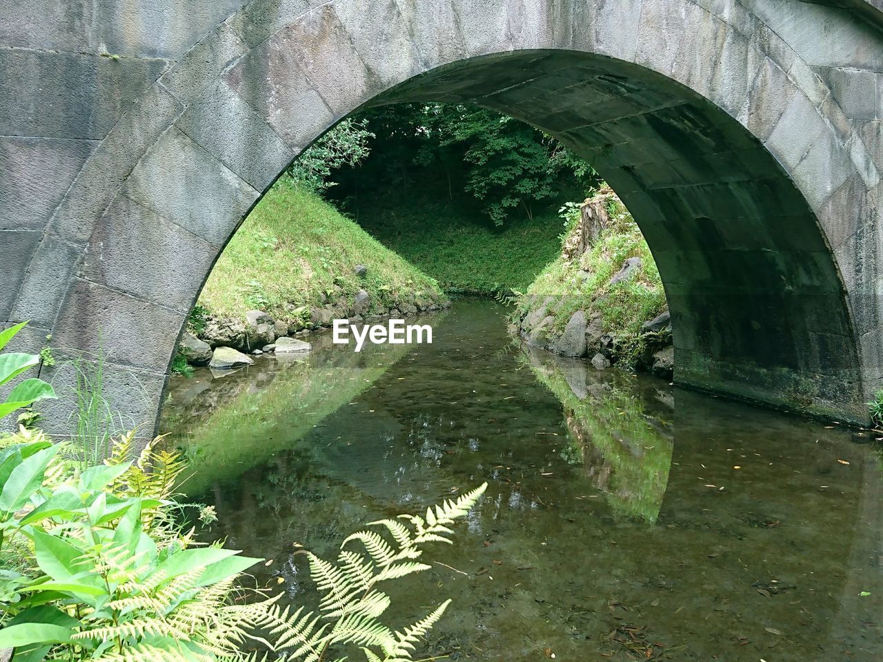 SCENIC VIEW OF TREE BY BRIDGE AGAINST TREES