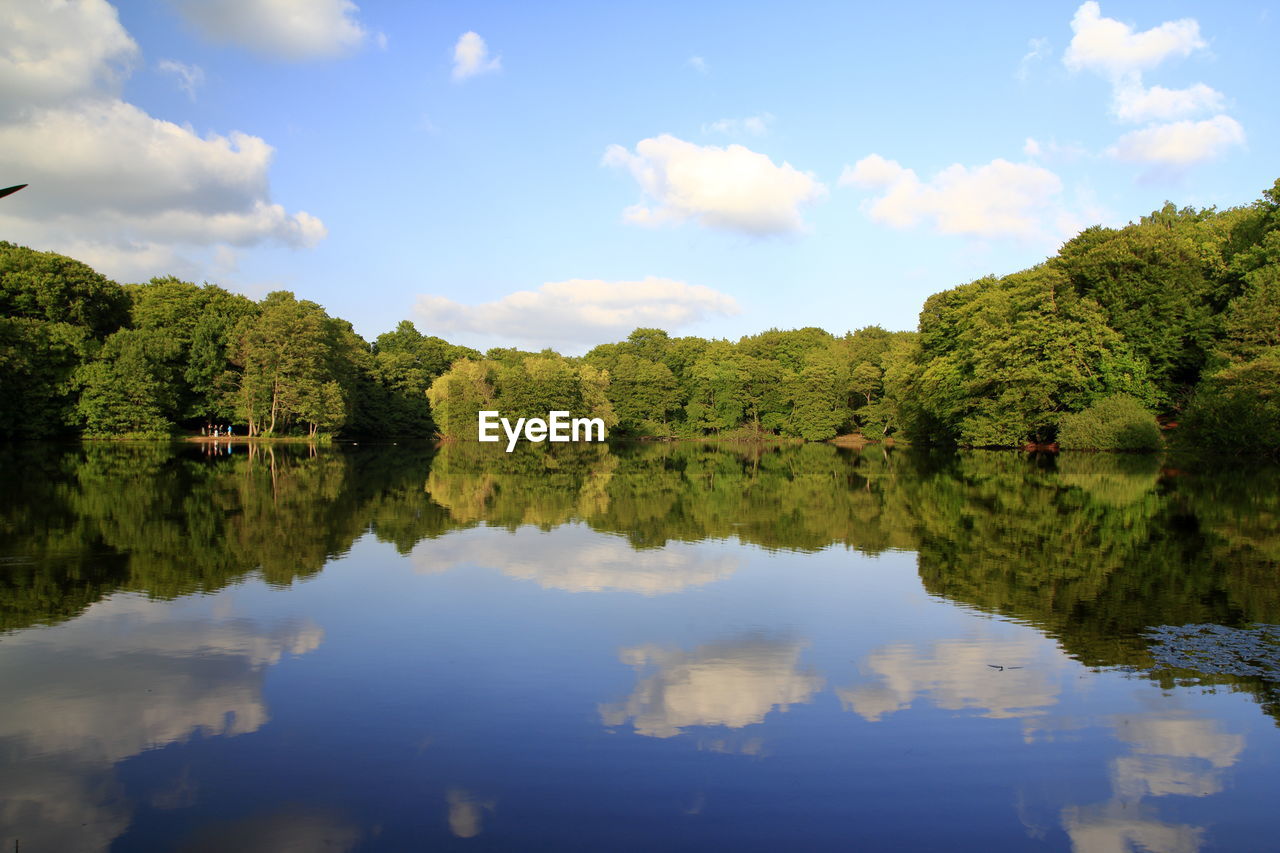 Scenic view of lake by trees against sky
