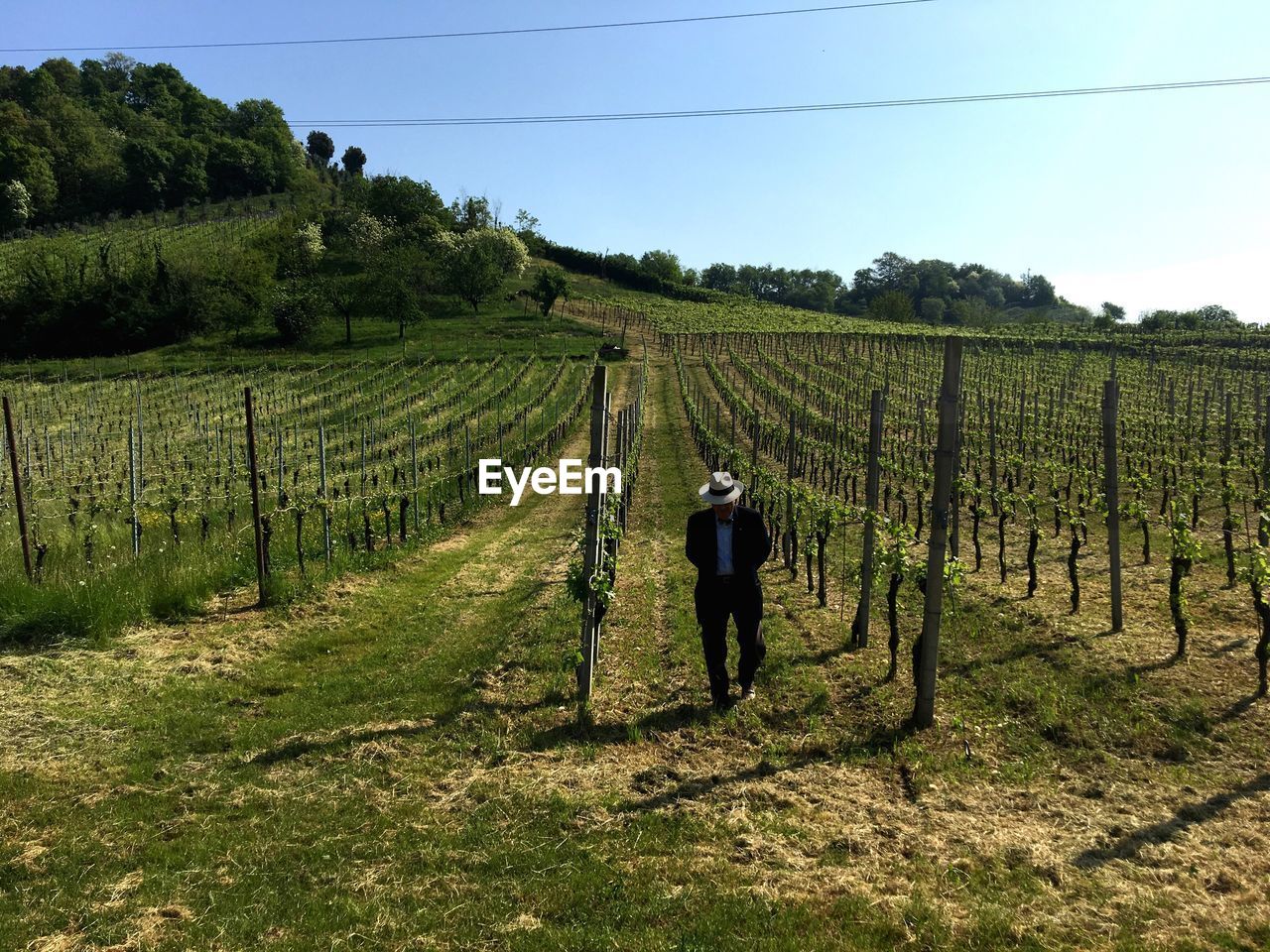 REAR VIEW OF WOMAN WALKING IN FARM