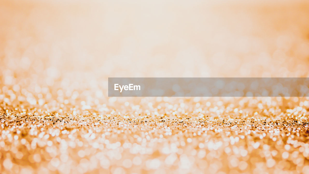 FULL FRAME SHOT OF WHEAT ON PLANTS