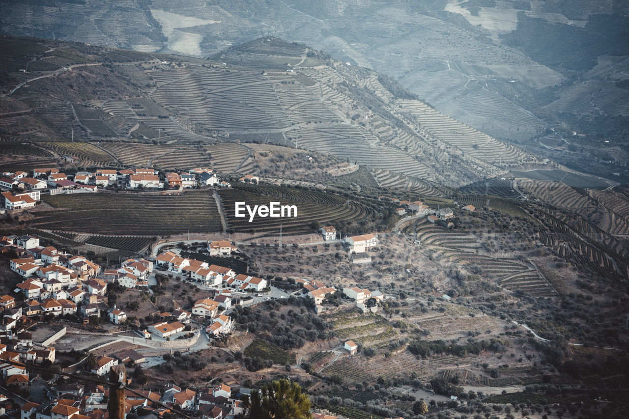 Douro vineyards from aerial view in august