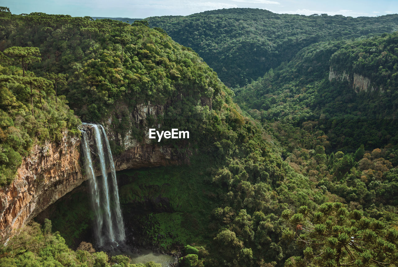 Caracol waterfall falling from rocky cliff in a canyon covered by forest near canela, brazil.