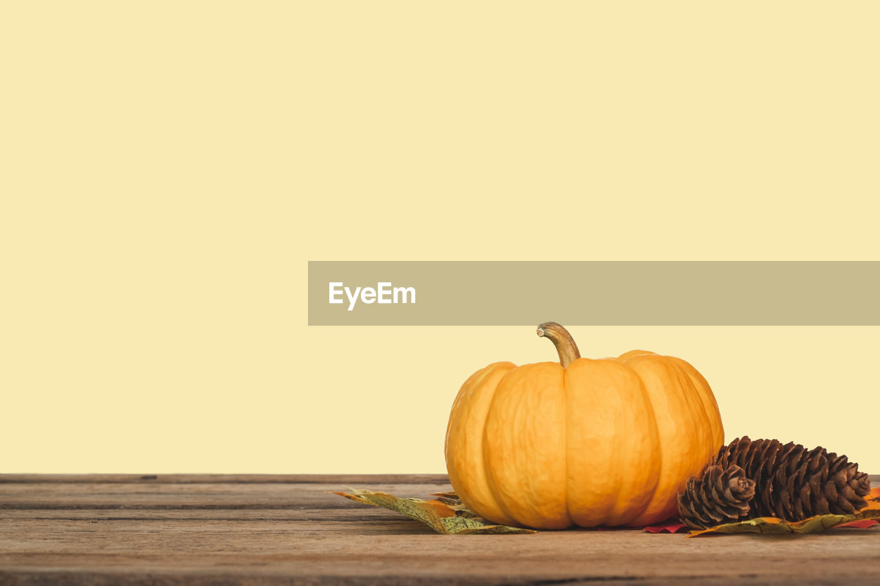 PUMPKINS ON TABLE AGAINST WALL