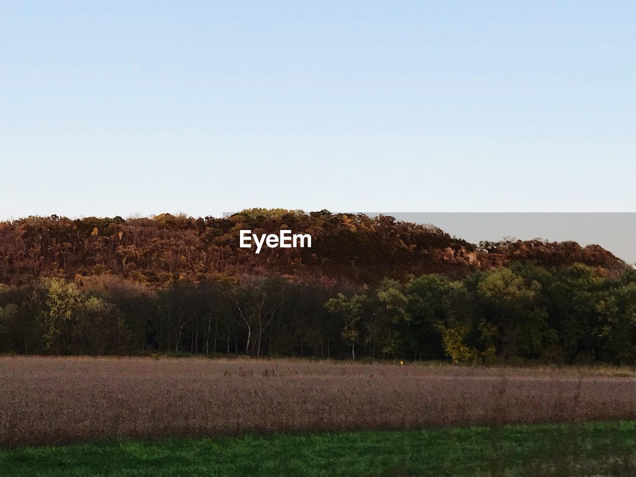 SCENIC VIEW OF FARM AGAINST CLEAR SKY