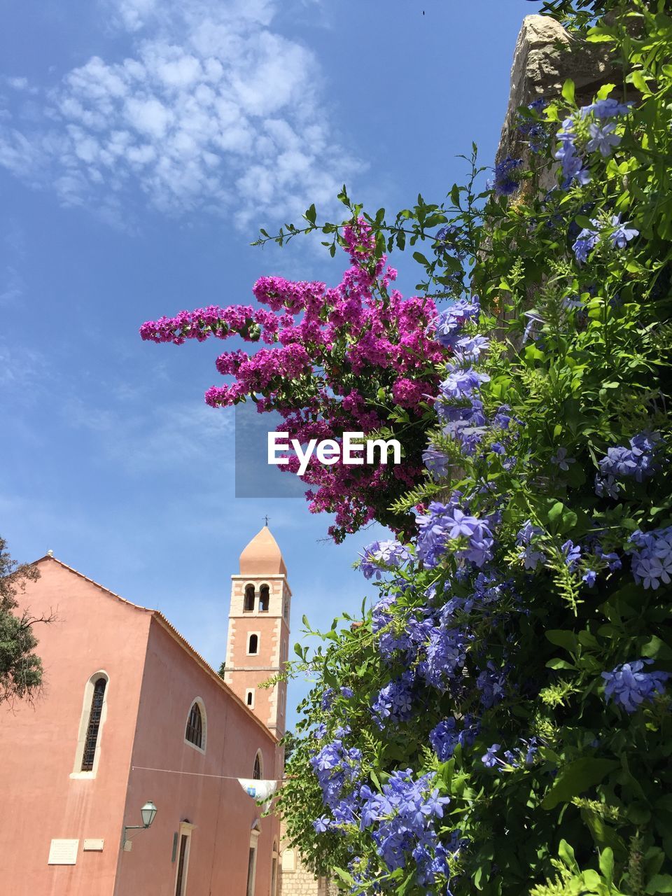 LOW ANGLE VIEW OF TREES AGAINST BUILDING