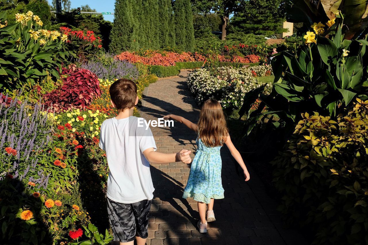 Rear view of siblings walking on footpath amidst flowering plants at garden