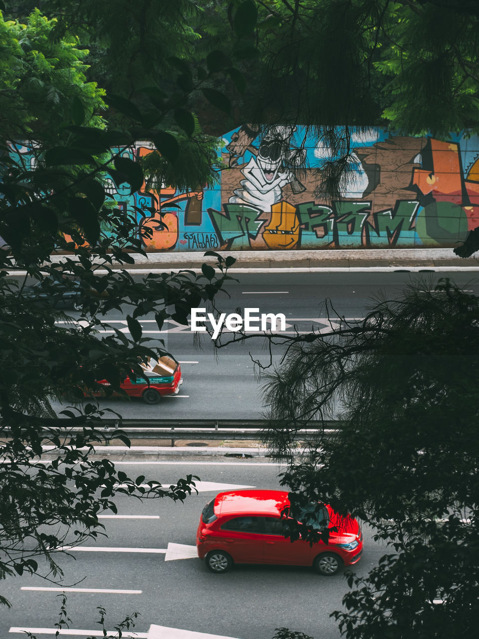 CARS ON TREE