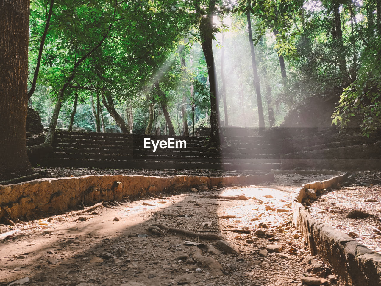 Temple in the mexican jungle