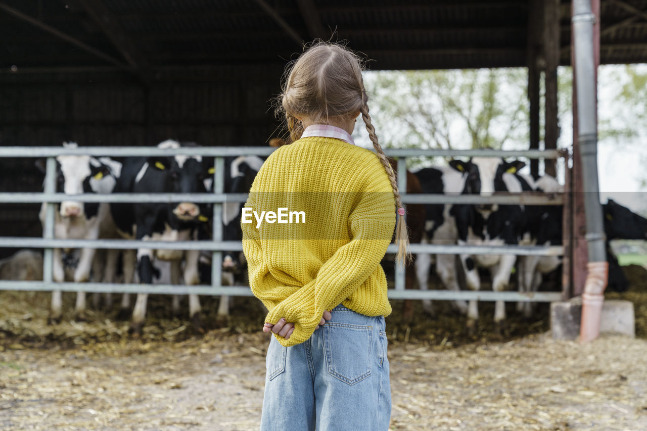 Girl wearing pigtails standing in front of cow farm
