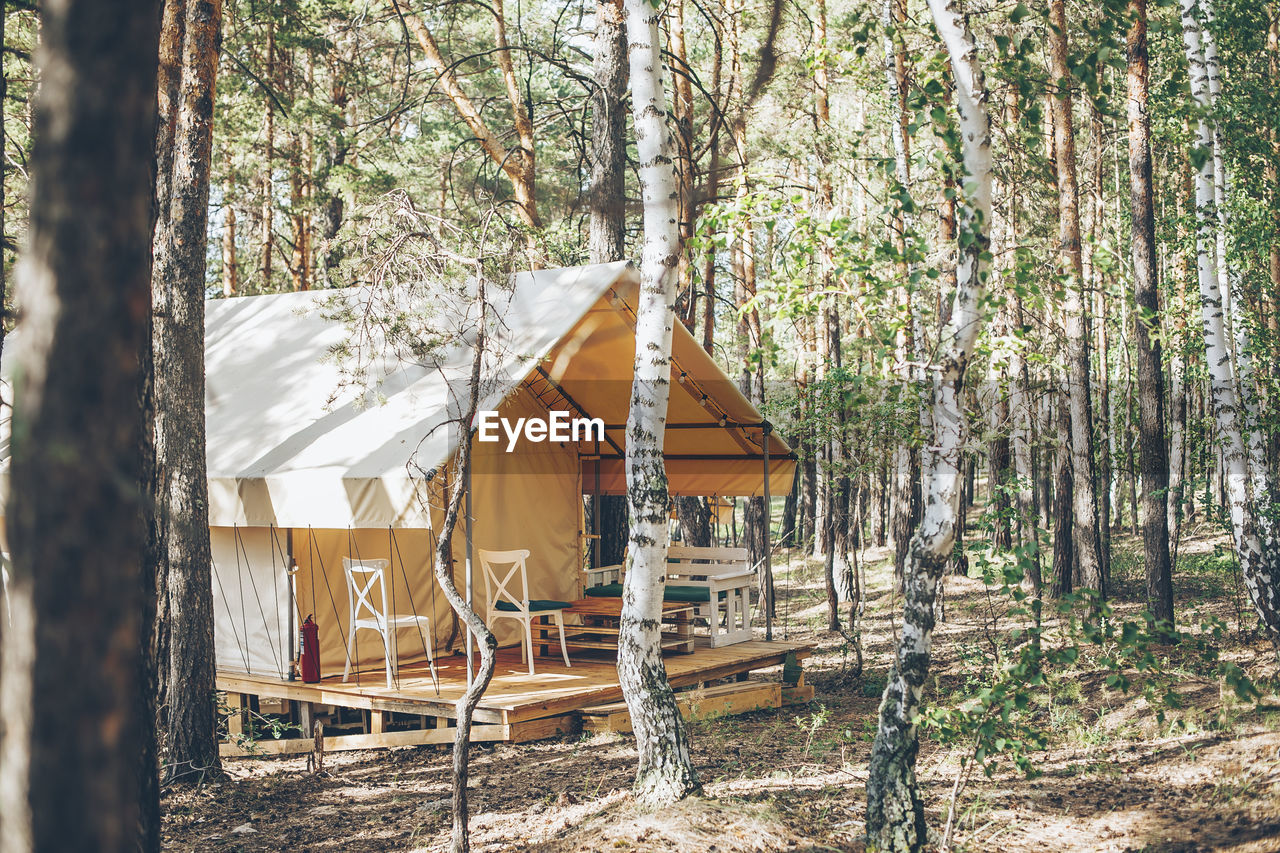 house by trees in forest