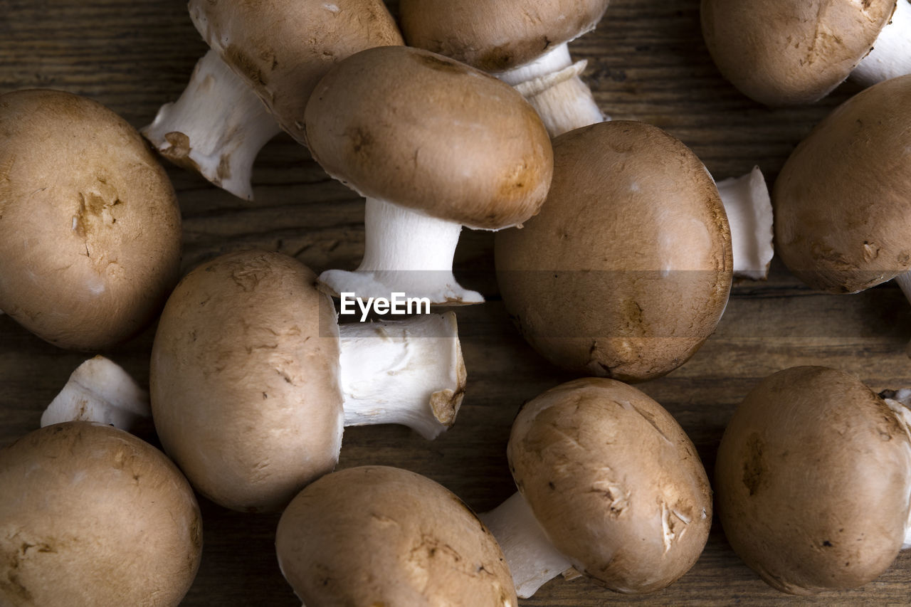 high angle view of mushrooms