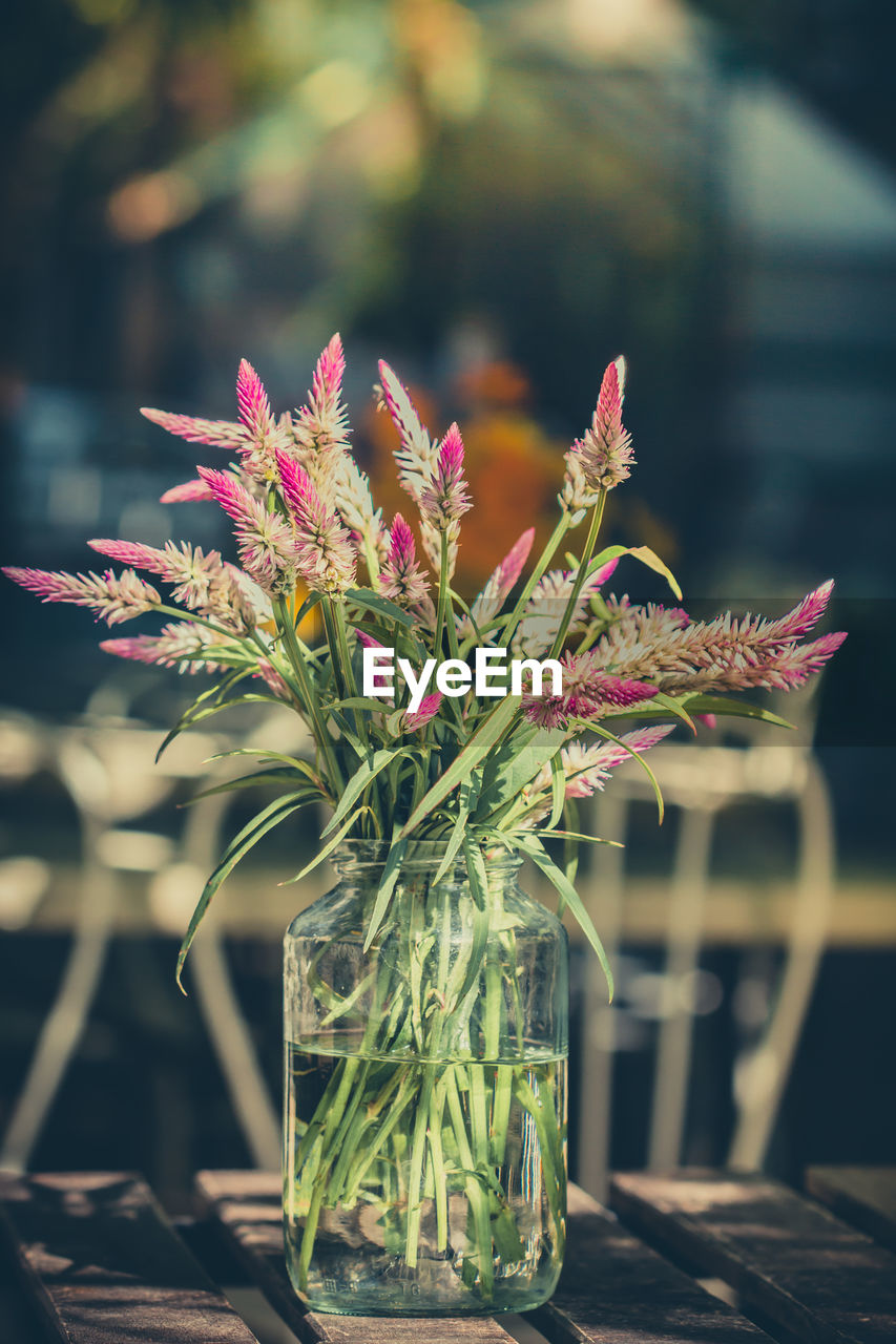 Glass vases and flowers of various colors in a vintage style. part of the home decor.