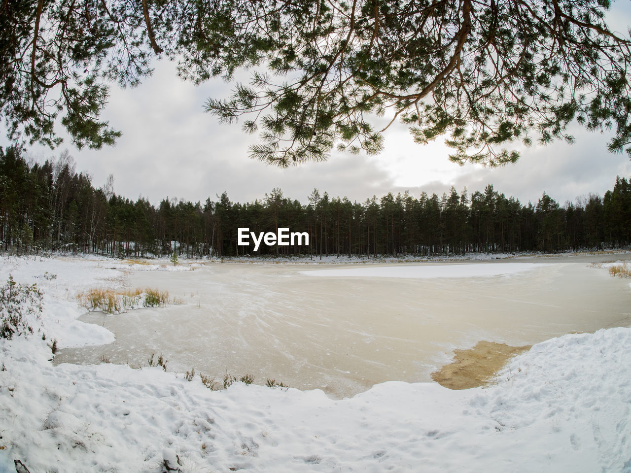 SCENIC VIEW OF SNOW COVERED LANDSCAPE