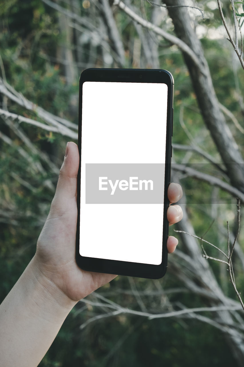 Cropped hand of person holding mobile phone