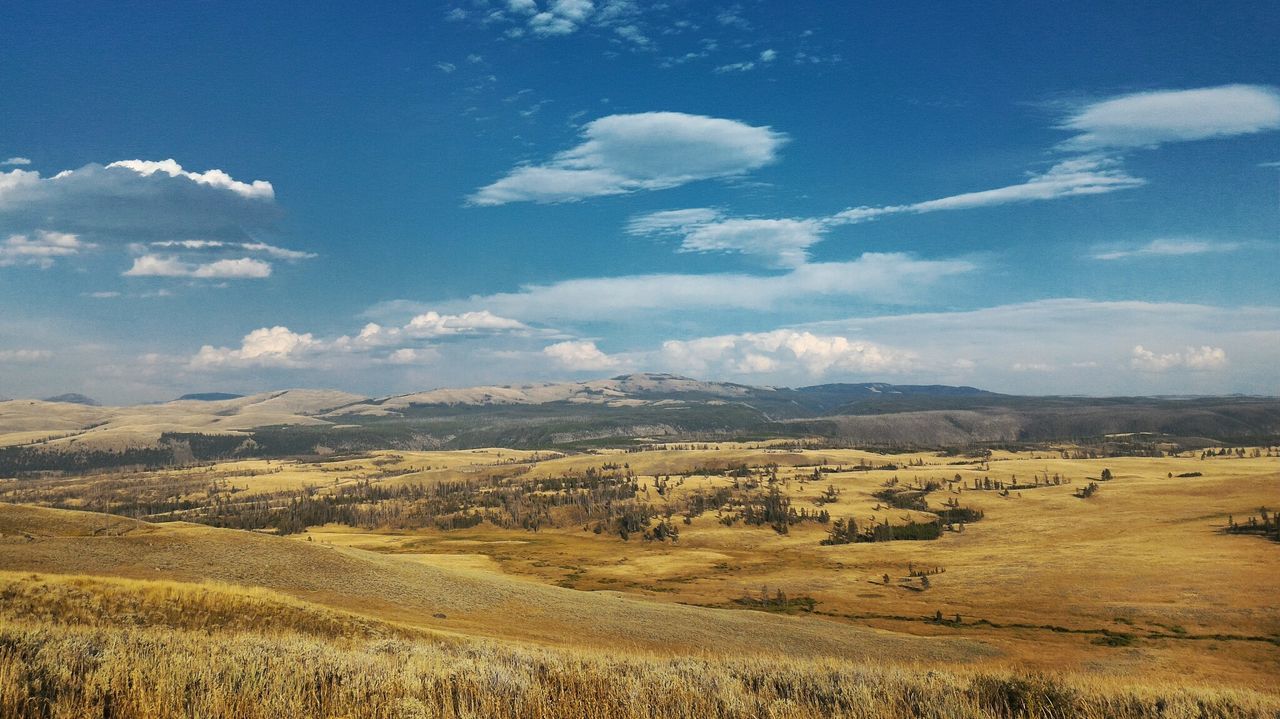 Scenic view of landscape against sky