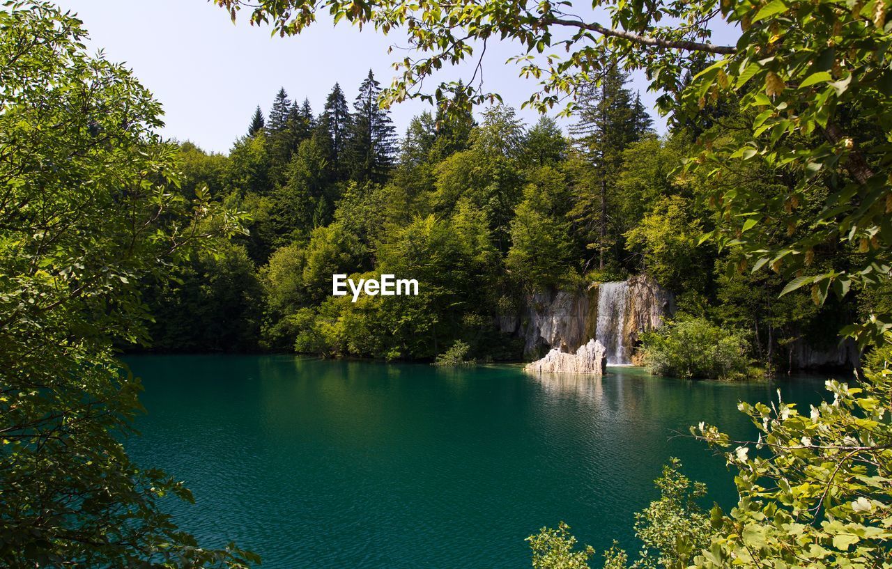 Calm lake along trees and clear sky