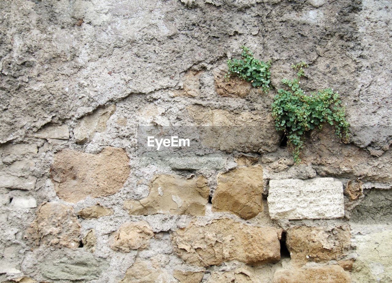 CLOSE-UP OF BRICK WALL