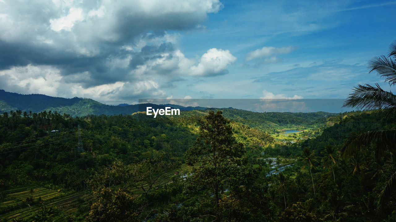 nature, sky, environment, plant, tree, cloud, landscape, mountain, scenics - nature, beauty in nature, forest, land, natural environment, wilderness, mountain range, no people, tranquility, travel, travel destinations, outdoors, non-urban scene, morning, tranquil scene, green, sunlight, tourism, pinaceae, day, valley, coniferous tree, tropical climate, lush foliage, pine tree, foliage, rural area, growth, meadow