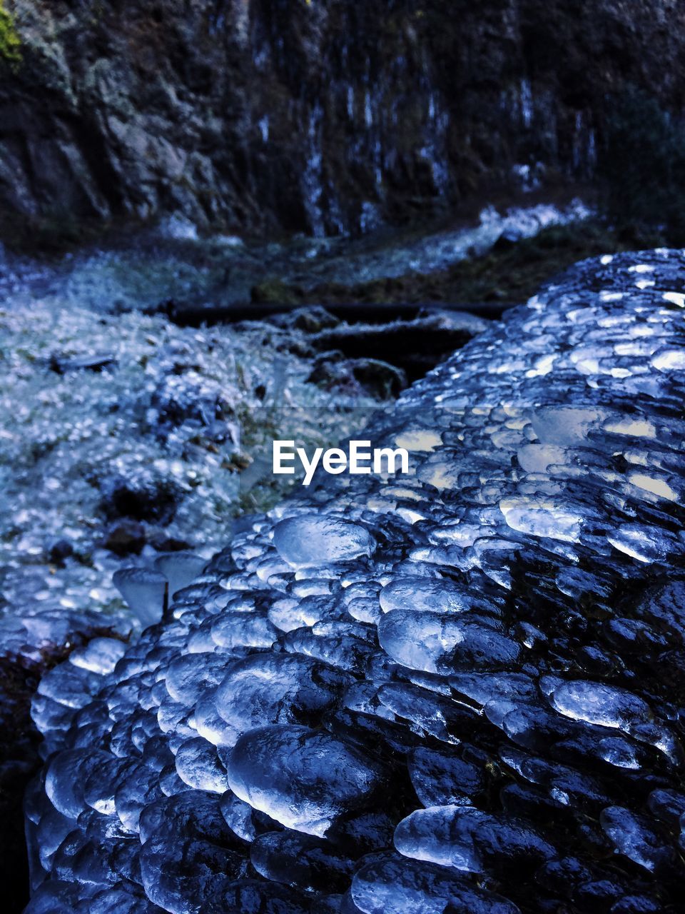 High angle view of ice on rock