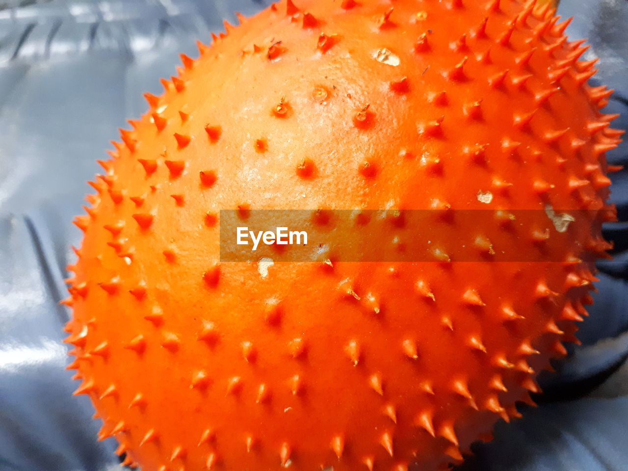 CLOSE-UP OF ORANGE FRUIT ON TABLE