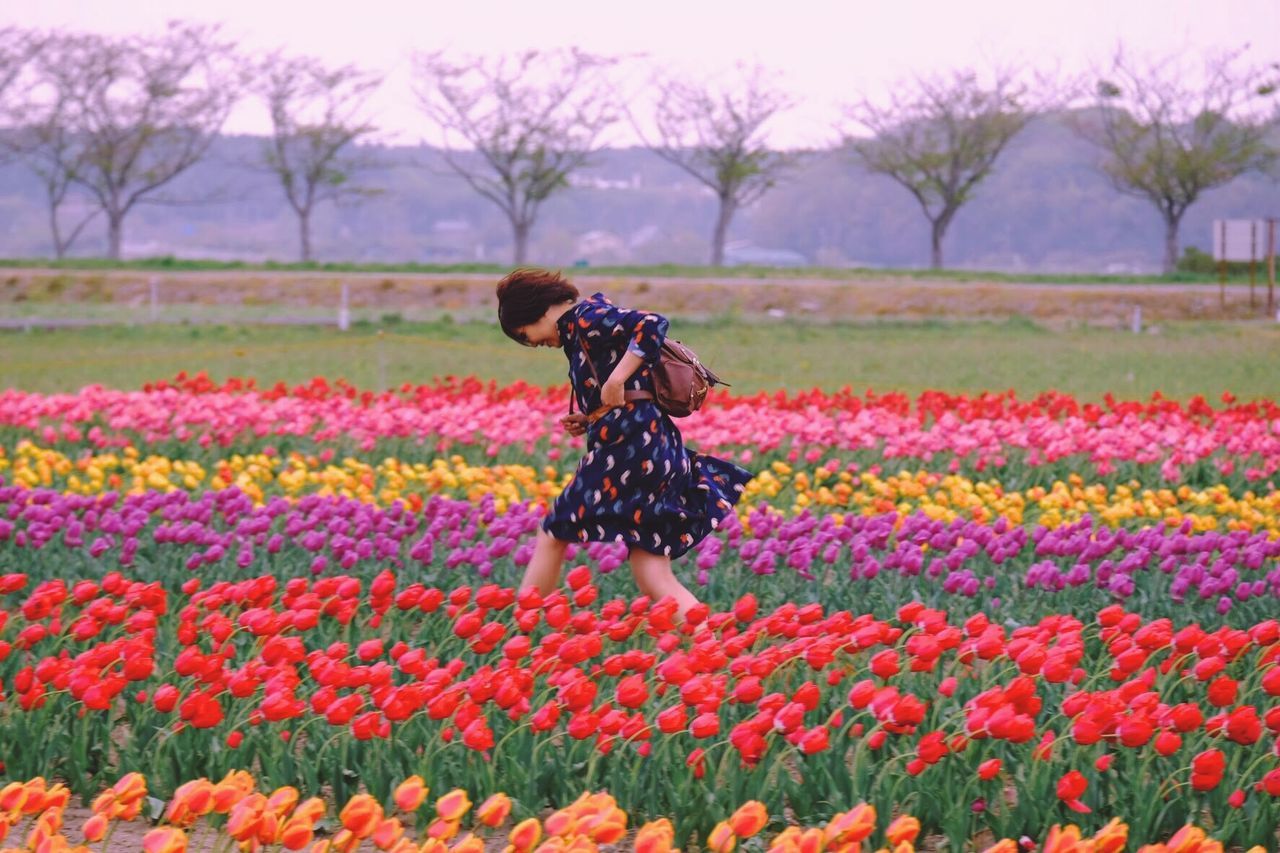 WOMAN STANDING ON FIELD OF FLOWERING PLANTS AT SUNSET