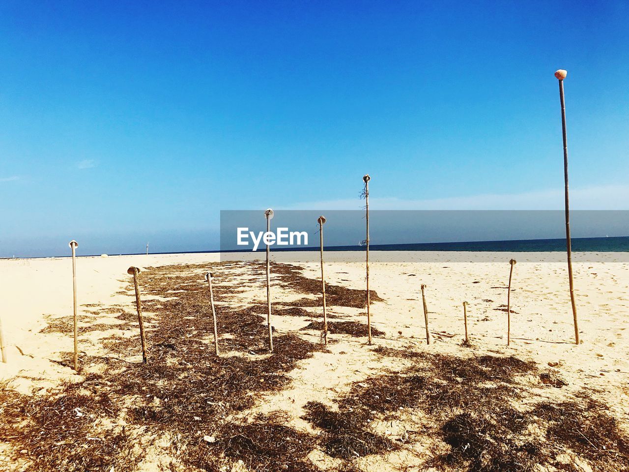 Wooden posts on beach against clear blue sky