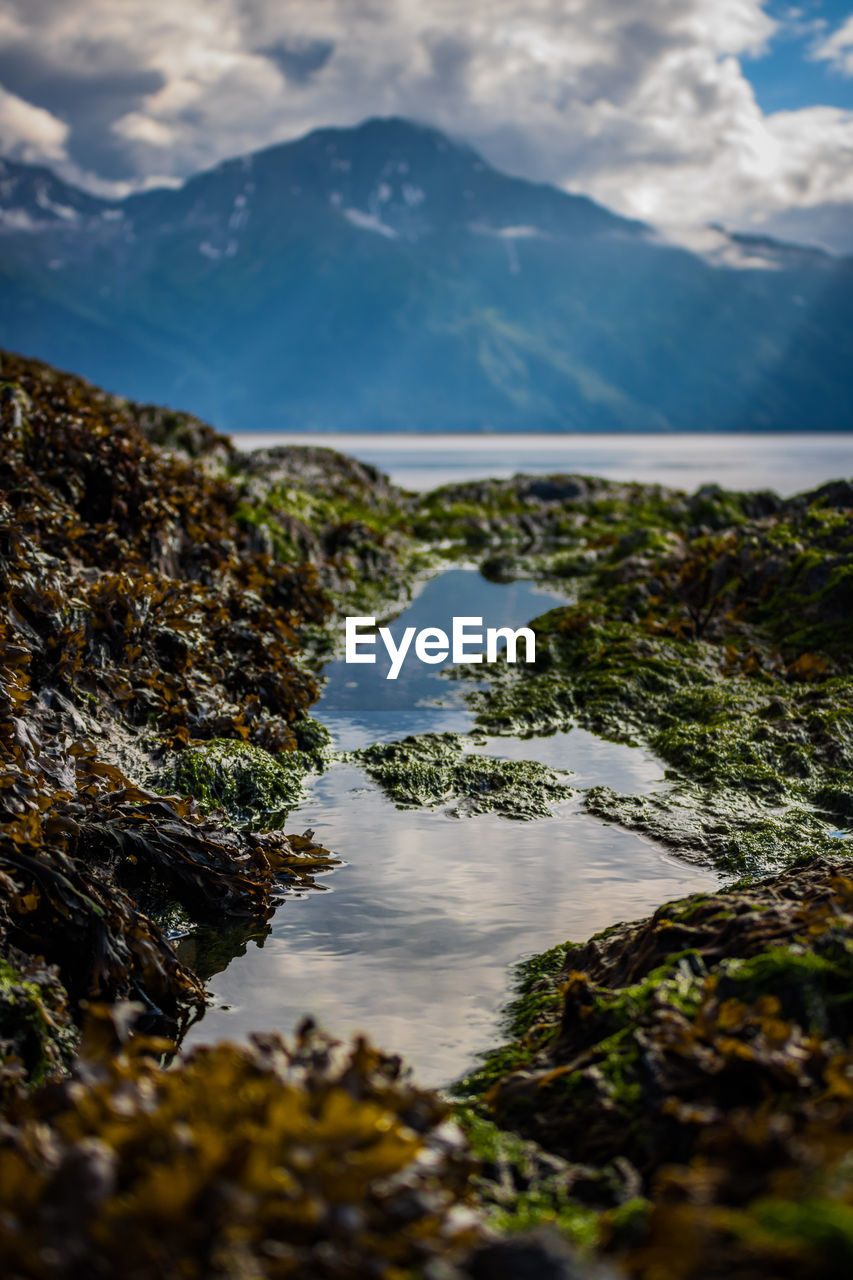 Scenic view of lake and mountains against sky