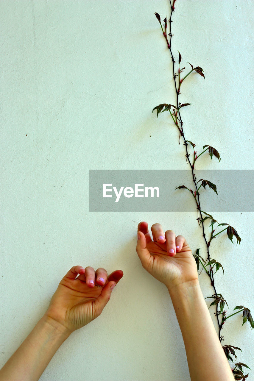 Close-up of woman hand against wall
