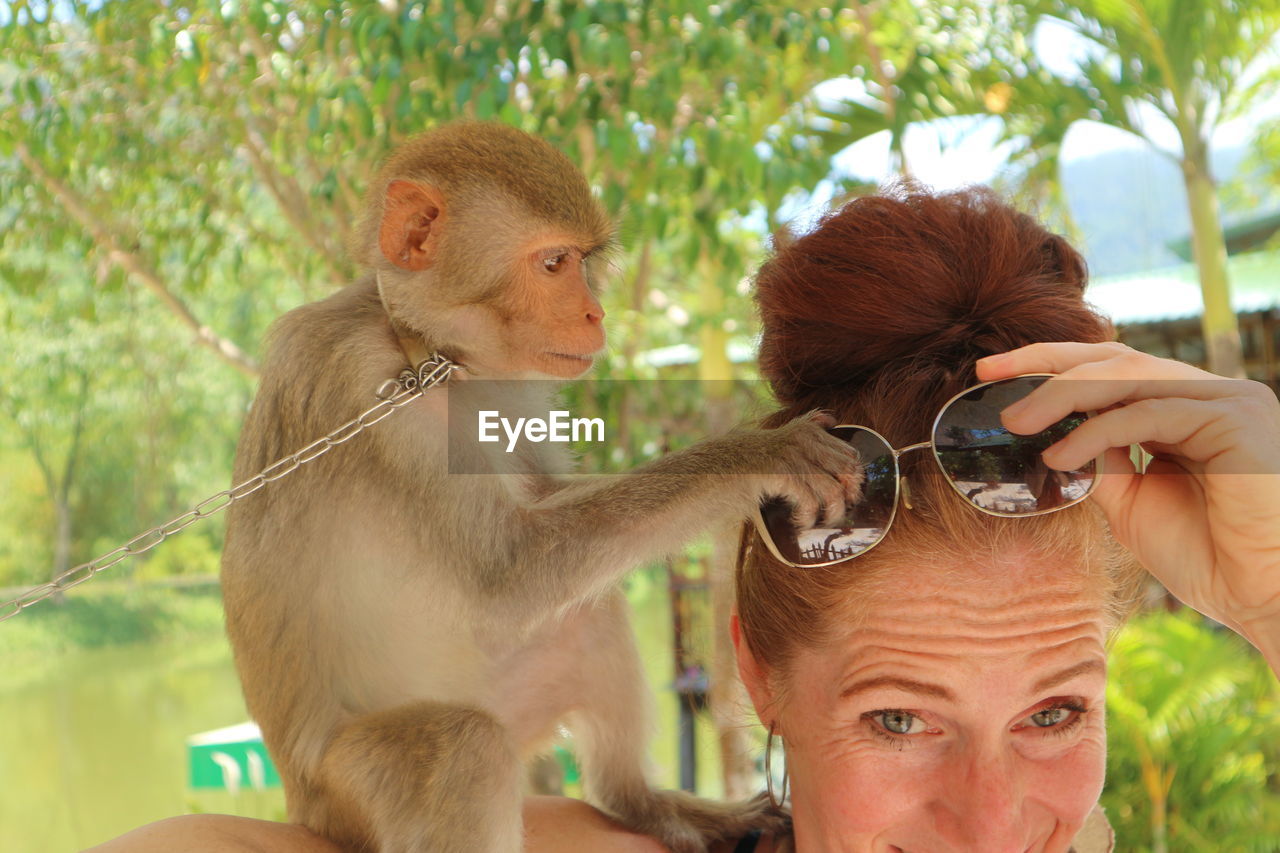 Portrait of woman and monkey holding sunglasses against trees