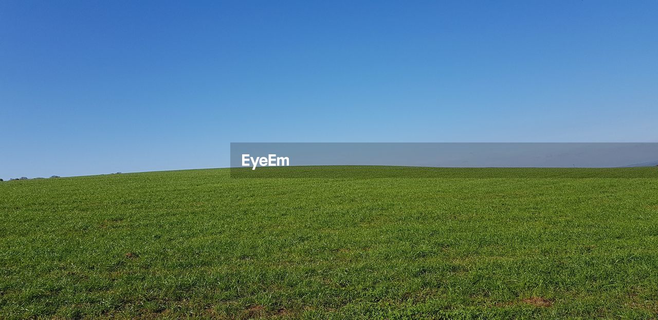 SCENIC VIEW OF LAND AGAINST CLEAR SKY