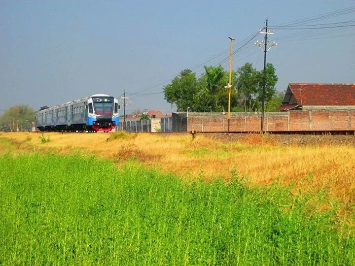 VIEW OF RURAL LANDSCAPE