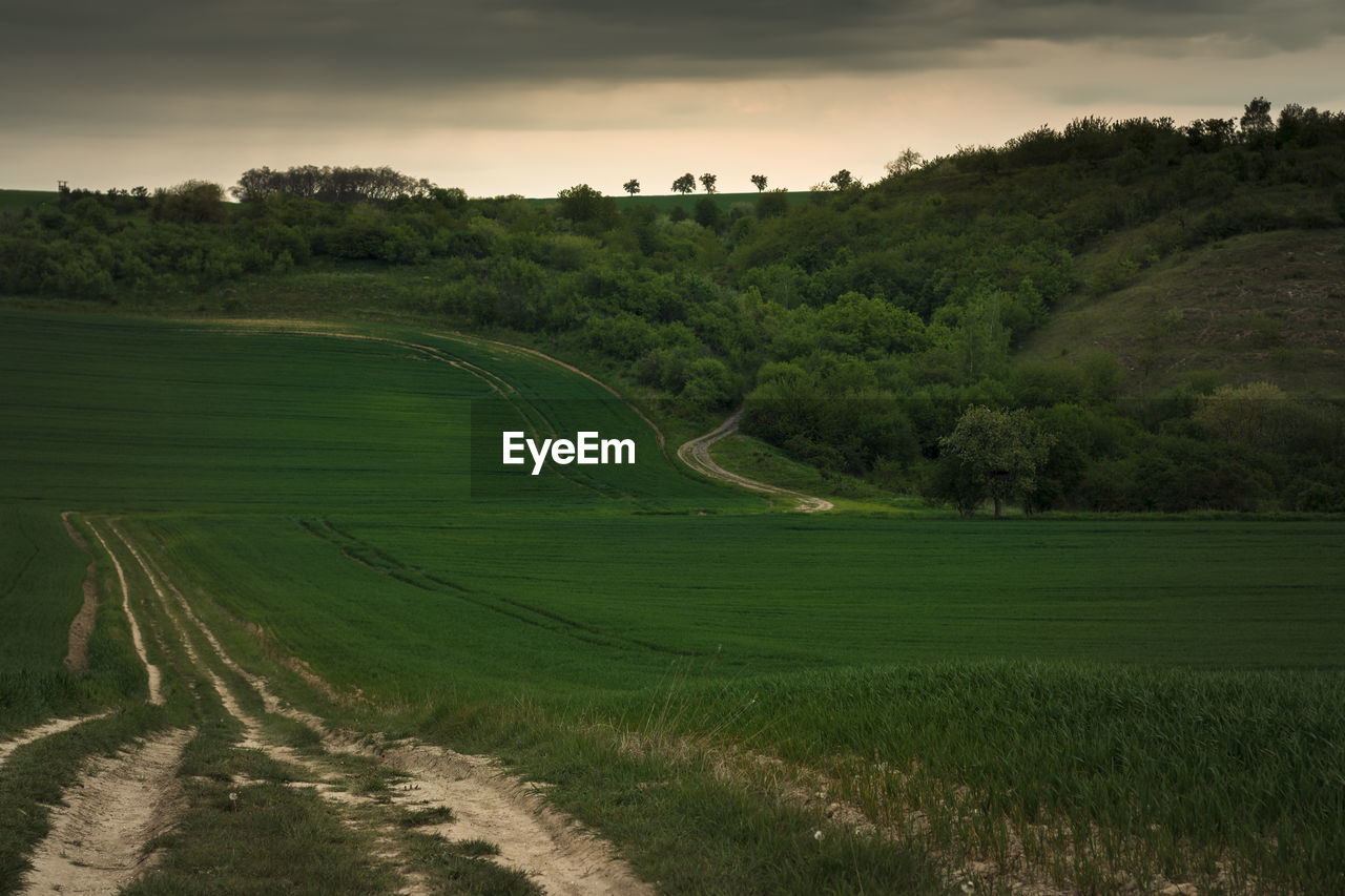 SCENIC VIEW OF RURAL LANDSCAPE AGAINST SKY