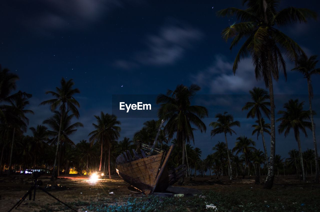 Palm trees at beach against sky at night