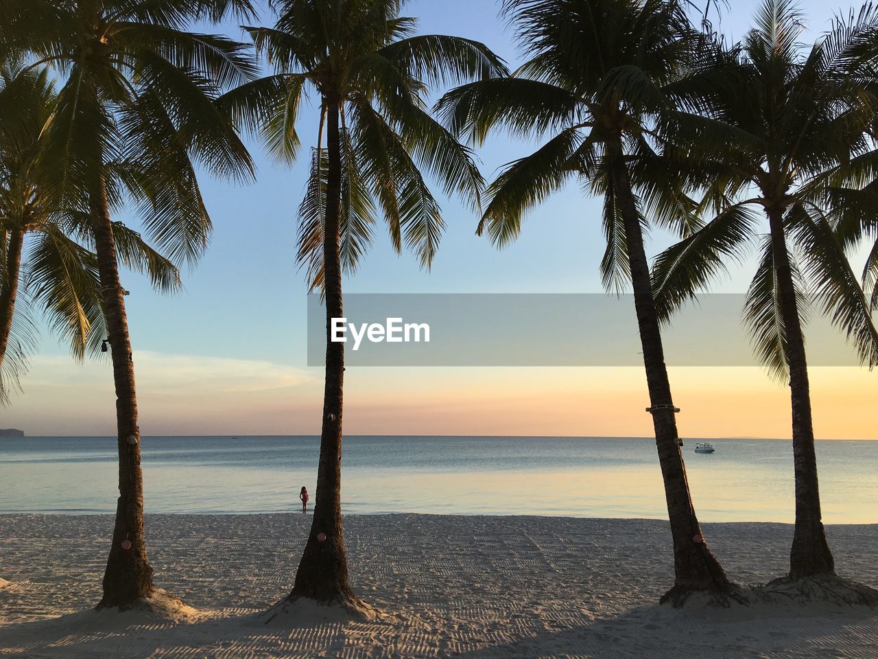 PALM TREES BY SEA AGAINST SKY AT SUNSET