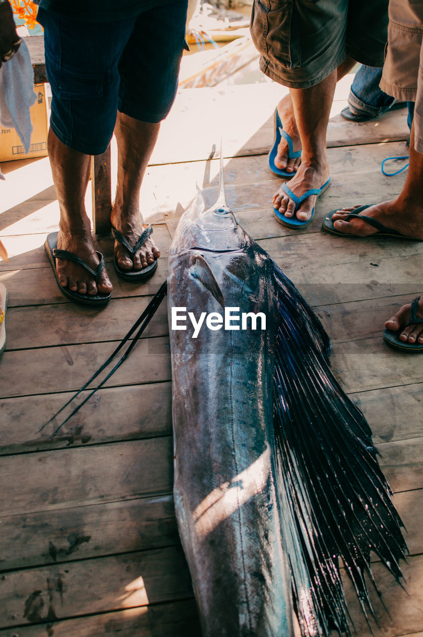 Low section of men standing by fish