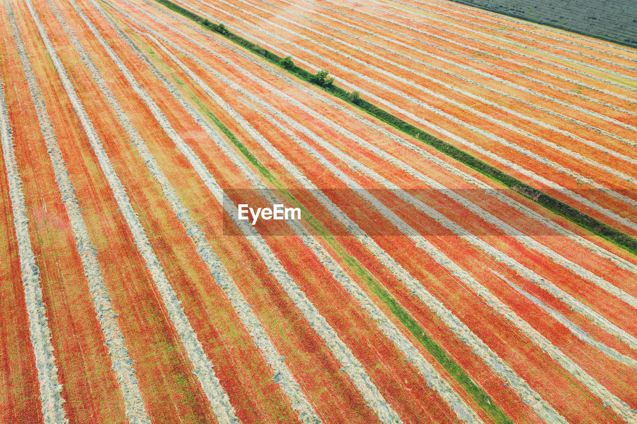 Full frame shot of multi colored land