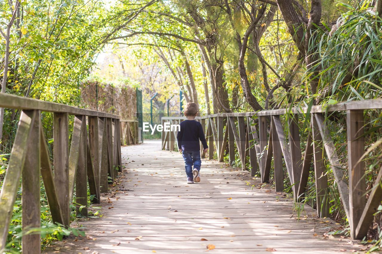 Rear view of boy walking on footbridge amidst trees