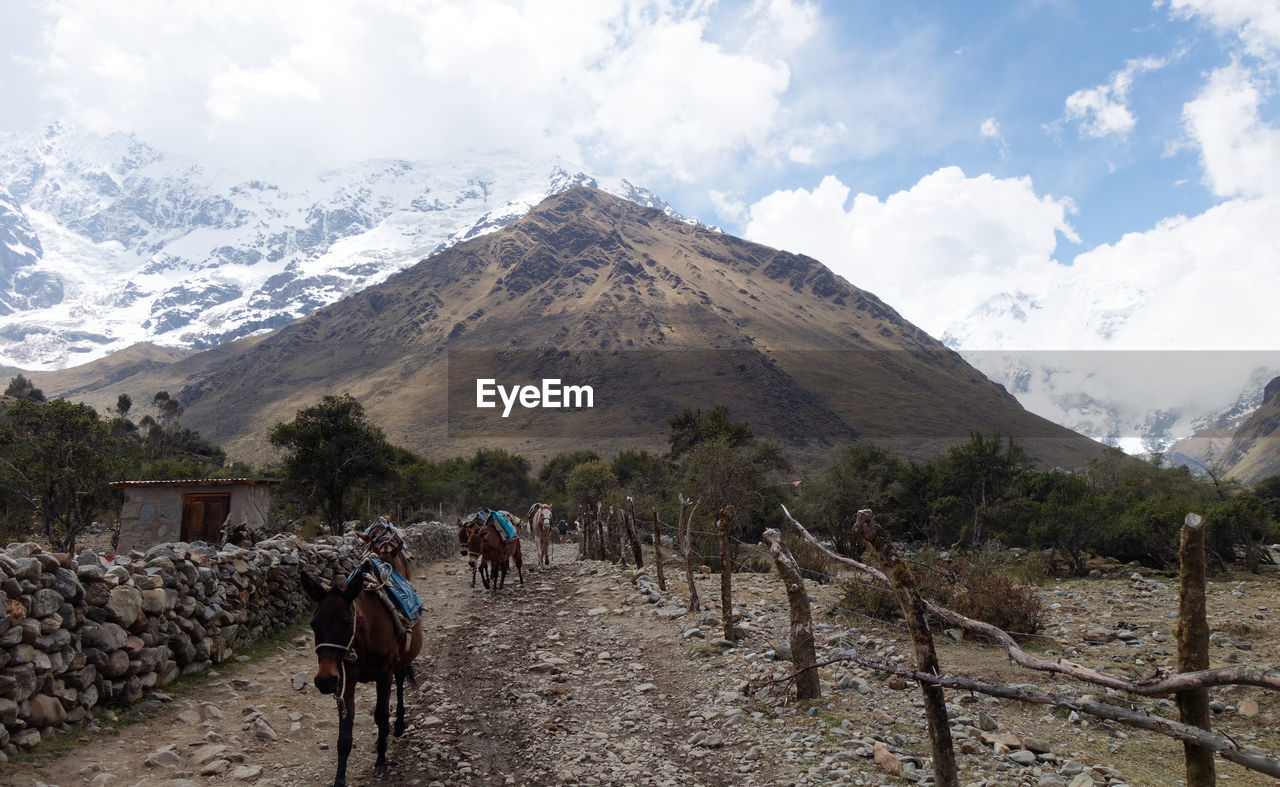 rear view of people walking on mountain range