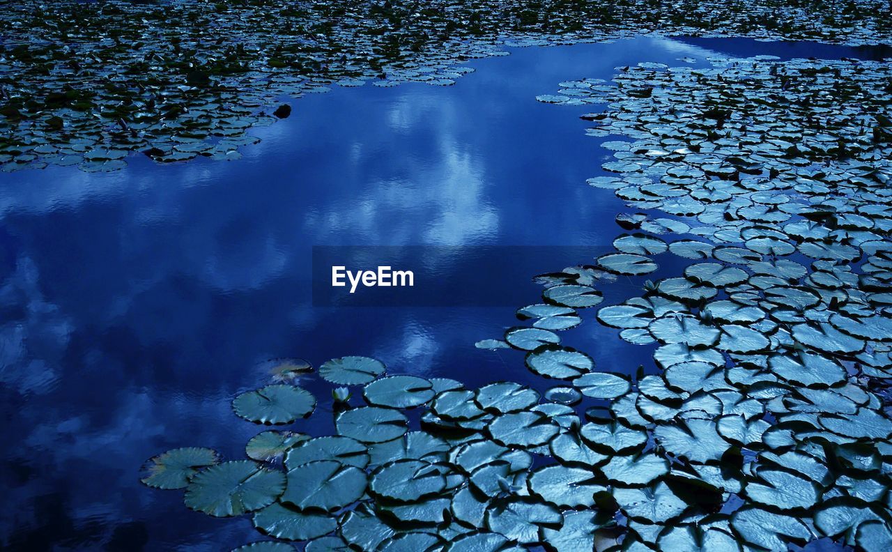 REFLECTION OF SKY IN LAKE