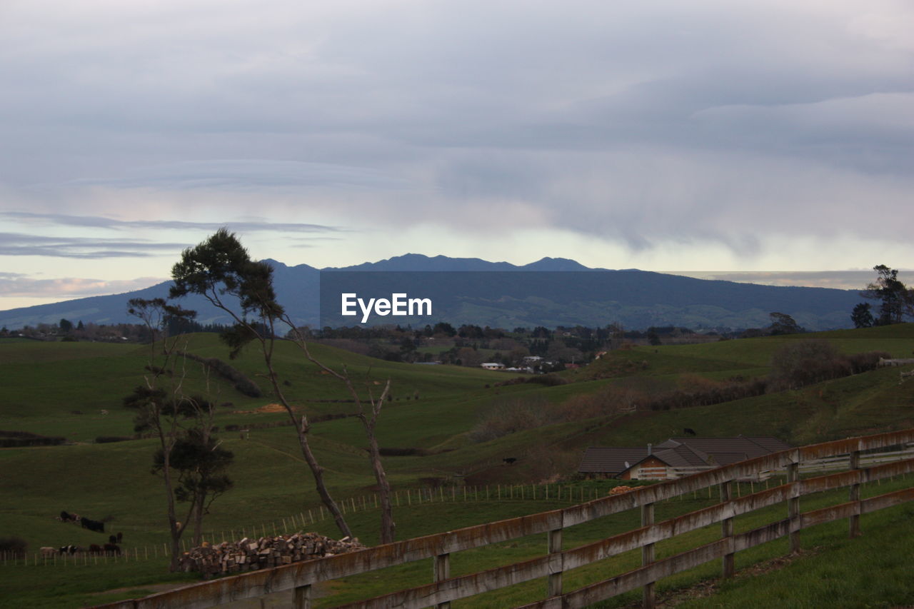 VIEW OF FIELD AGAINST CLOUDY SKY