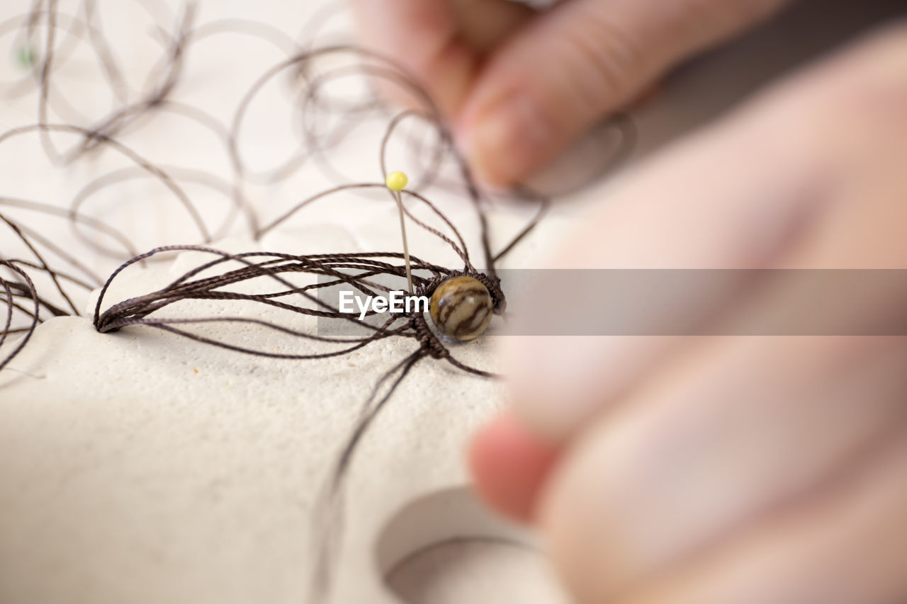 CLOSE-UP OF HUMAN HAND HOLDING SMALL INSECT