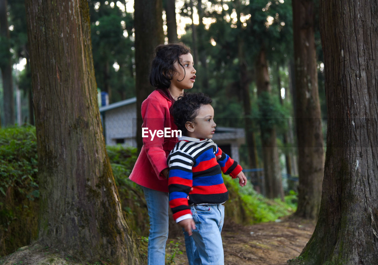 Happy brother and sister standing on land in forest