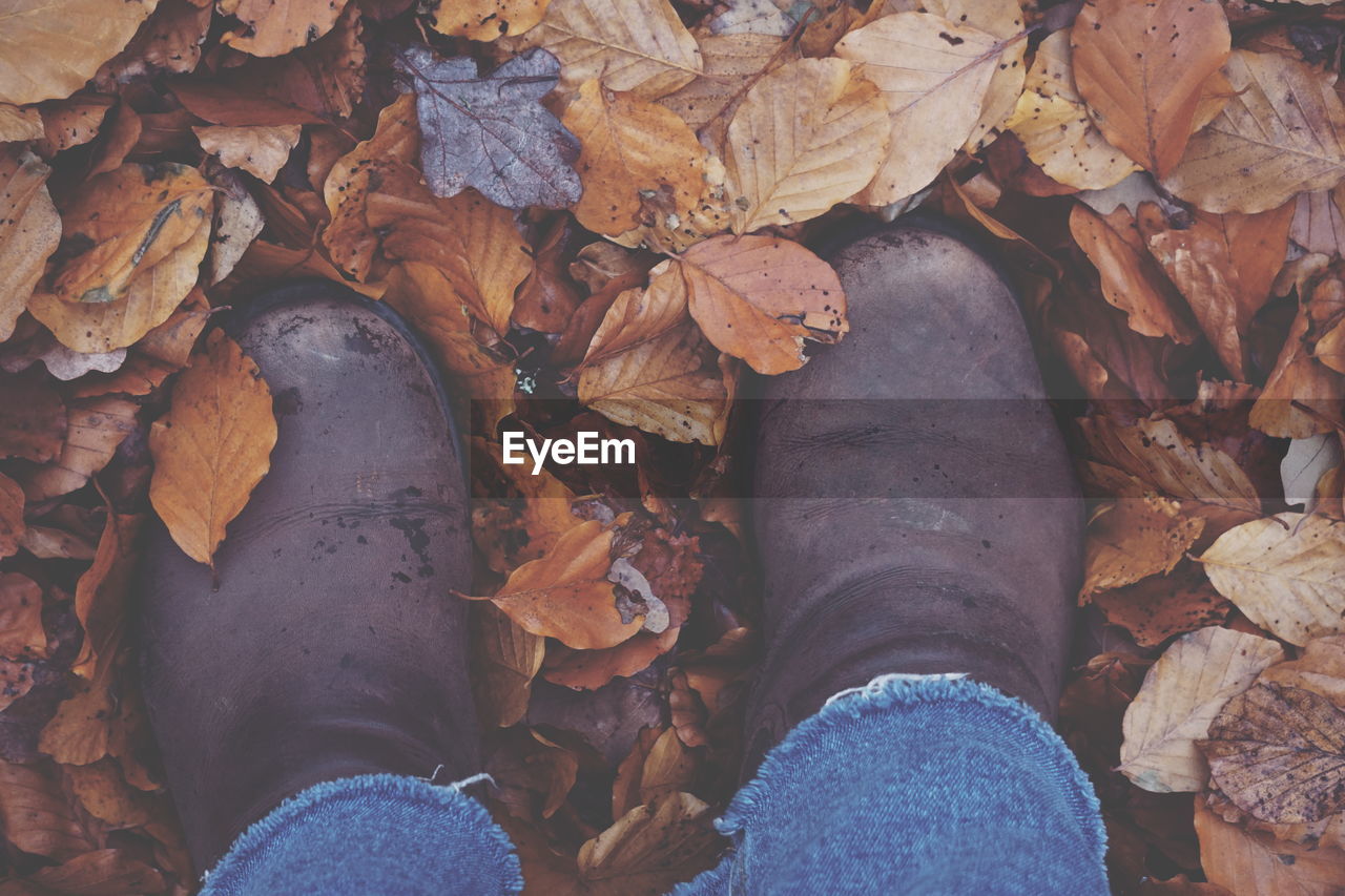 Low section of person standing on dry leaves