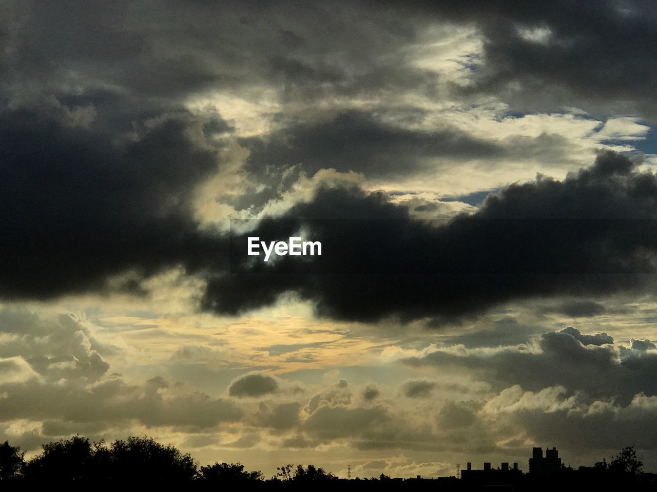 LOW ANGLE VIEW OF SILHOUETTE TREES AGAINST DRAMATIC SKY