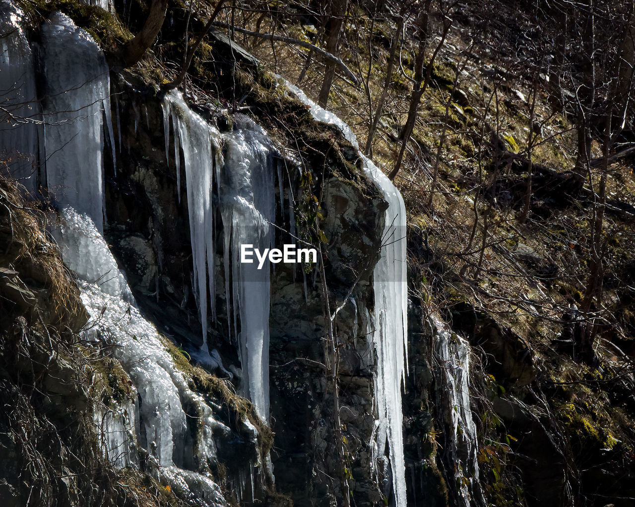 VIEW OF WATERFALL